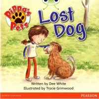 Image of Lost Dog