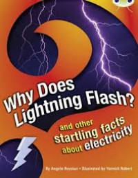 Image of Why Does Lightning Flash? and other starting facts about electricity