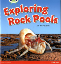 Image of Exploring Rock Pools